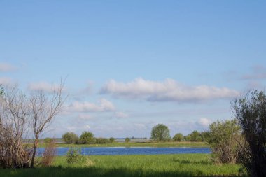 Göller yeşil bir vadide uzanıyor. Parlak yeşillik, mavi gökyüzü ve mavi göller Sibirya 'da