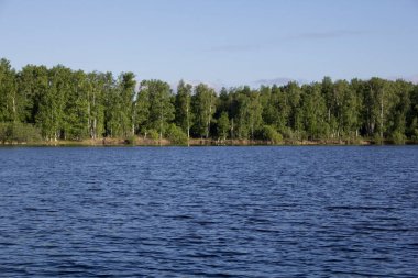 Mavi suyu olan geniş bir nehir. Kıyı, diğer taraftaki ağaçlarla kaplı.