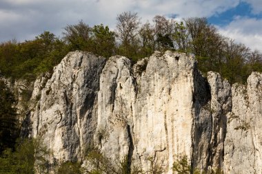 Ein Stein Berg Ben Donaudurchbruch, bir einem Waldrand.