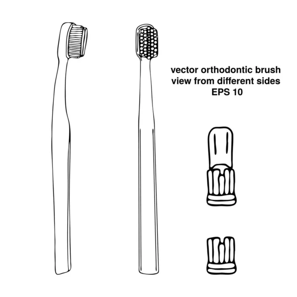 Ортодонтическая Зубная Щетка Перерывом Вид Разных Сторон Средства Личной Гигиены — стоковый вектор