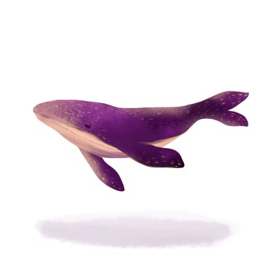 Balina yüzen güzel ve muhteşem hayvan resimleme grafik tasarım elementi web pankartı veya uygulama arayüzü olarak kullanılabilir