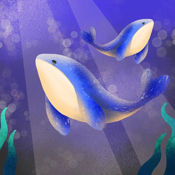 Piękny Wspaniały Płetwal Błękitny Pod Oceanem Ilustracja Zwierząt Element Graficzny — Zdjęcie stockowe