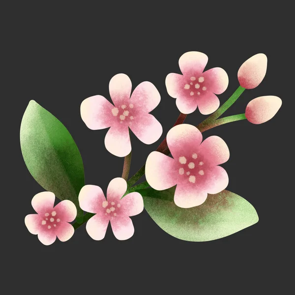 아름답고 의미있는 분홍색꽃은 배경이나 그래픽 디자인 요소로 사용하기에 디자인에 — 스톡 사진