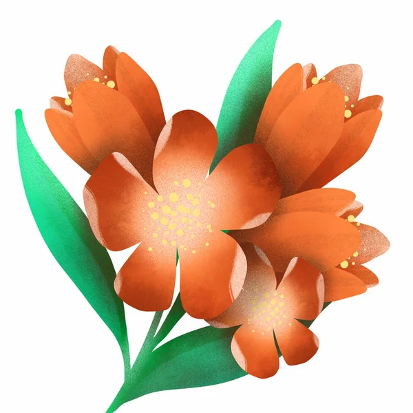 Fleur sauvage orange vif images libres de droit, photos de Fleur sauvage  orange vif | Depositphotos
