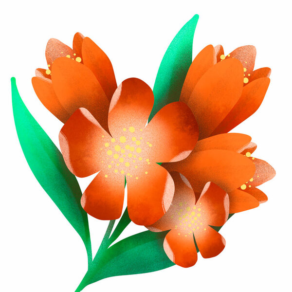 Beautiful and meaningful Orange wild flower good for use as background or isolated graphic design element and also use in card design too, illustration design element