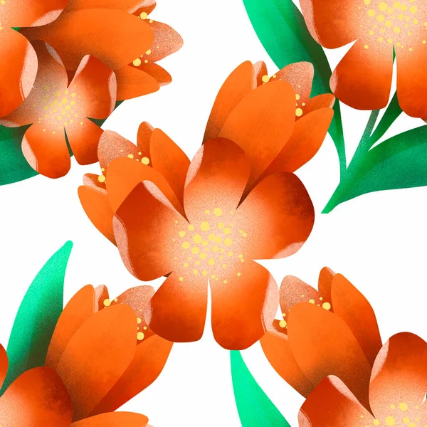 아름답고 의미있는 바닷말없는 오렌지꽃은 배경이나 그래픽 디자인 요소로 사용하기에 디자인에 — 스톡 사진