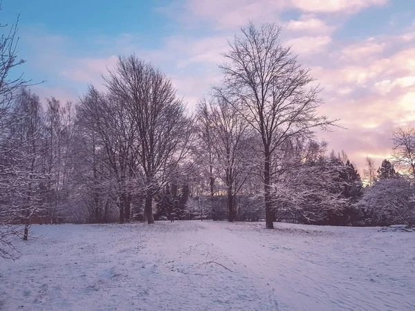Pembe ve mavi renkte kış manzarası.