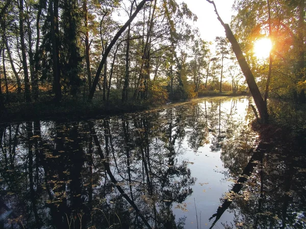 Ormanda gün doğumunda bir gölden güzel bir yansıma..