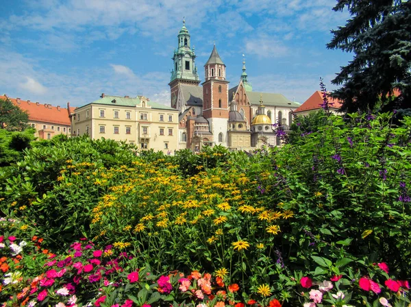Κάστρο Wavel Στην Κρακοβία Πολύχρωμα Λουλούδια Πρώτο Πλάνο — Φωτογραφία Αρχείου