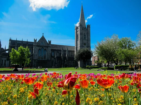 Katedra Patryka Dublinie Czerwonymi Żółtymi Fioletowymi Kwiatami Pierwszym Planie Obrazy Stockowe bez tantiem