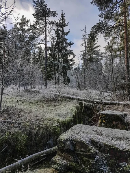 寒い冬の森の中の第一次世界大戦の塹壕 — ストック写真