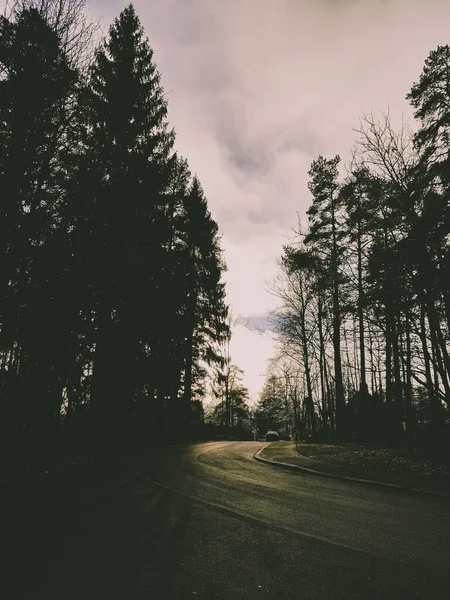 Bir banliyö parkının yakınında gün doğumu batımı.