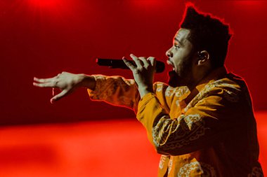 The Weekend at Ziggo Dome on February 24, 2017 in Amsterdam, Netherlands