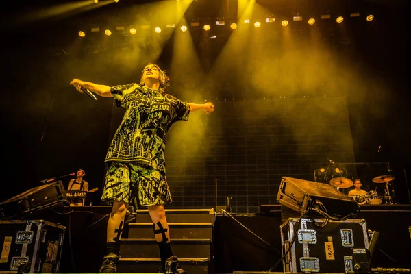 Billie Eilish Concert Setlist Lowlands Festival 2019 — Foto de Stock