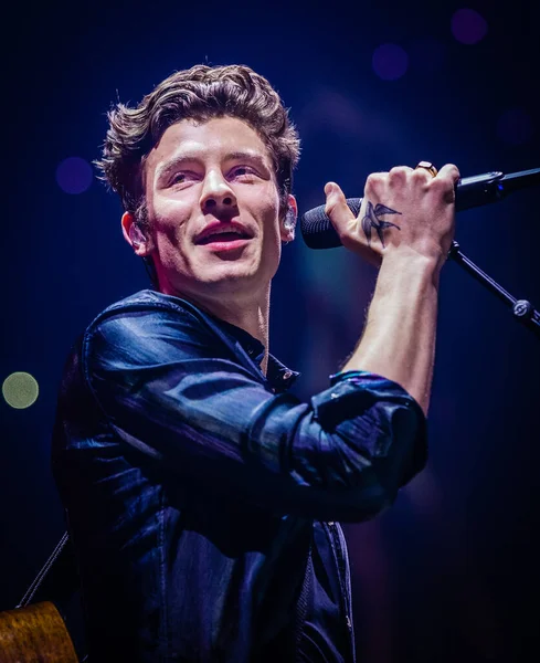 Shawn Mendes Ziggo Dome Ban 2019 Január Amszterdamban — Stock Fotó