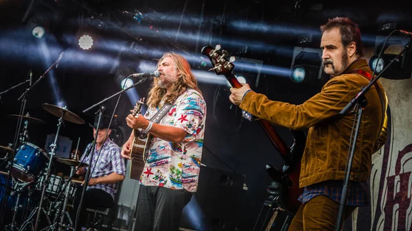 Haziran 2019 Rock Werchter Festivali Belçika Beyaz Bizon Konseri — Stok fotoğraf