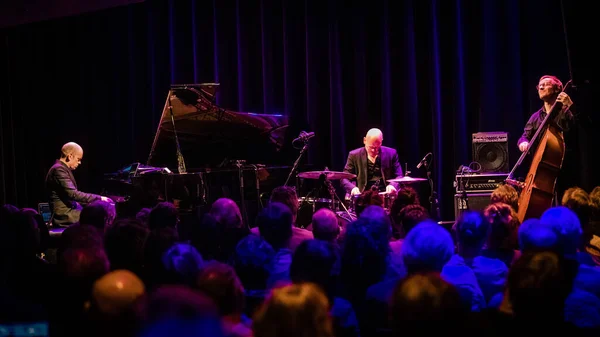 2020 Тіволі Вреденбург Утрехт Нідерланди Tord Gustavsen Trio — стокове фото