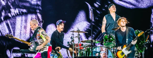 Haziran 2019 Pinkpop Festivali Landgraaf Hollanda Red Hot Chili Peppers — Stok fotoğraf