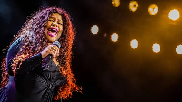 Juli 2019 North Sea Jazz Festival Ahoy Rotterdam Nederland Concert — Stockfoto