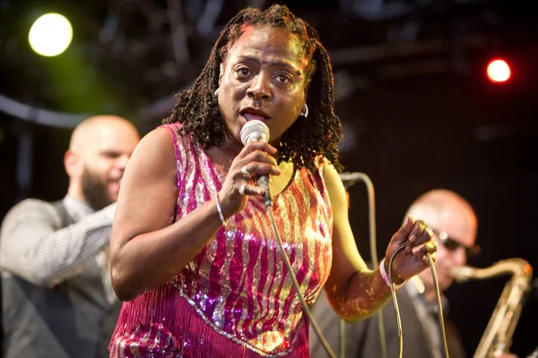 2019 Pinkpop Festival Landgraaf Netherlands Concert Sharon Jones Dap Kings — 스톡 사진