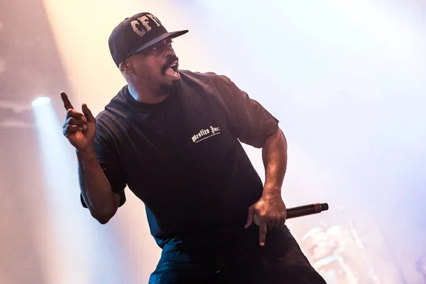 Фестиваль Rock Werchter Бельгия Концерт Cypress Hill — стоковое фото