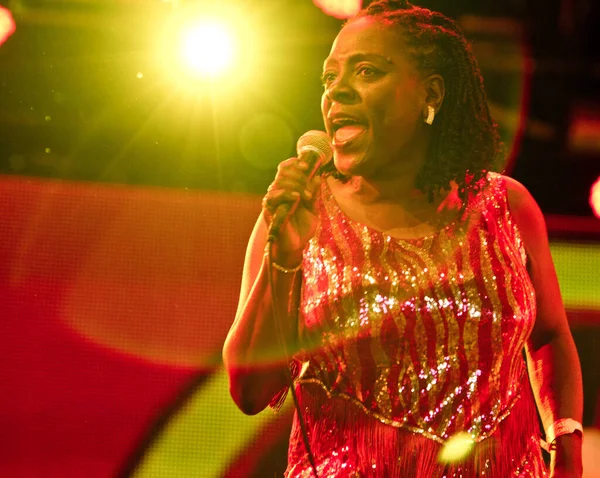 June 2019 Pinkpop Festival Landgraaf Netherlands Concert Sharon Jones Dap — Stock Photo, Image