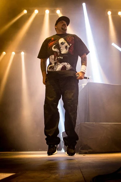 Rock Werchter Fesztivál Belgium Cypress Hill Koncert — Stock Fotó