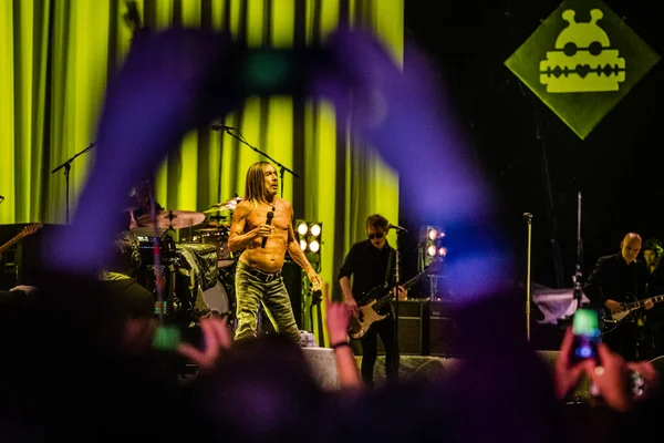Iggy Pop Actuando Escenario Durante Festival Música — Foto de Stock