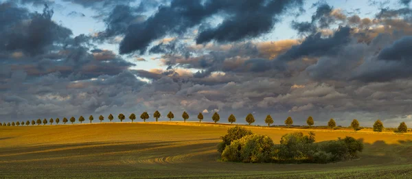 Панорама Зеленого Поля Небом Фоні — стокове фото