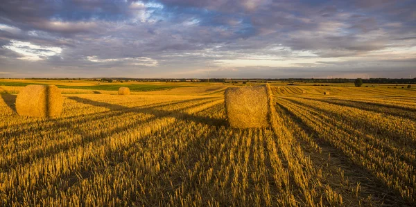 Kırsal manzara, alandan sonra hasat — Stok fotoğraf