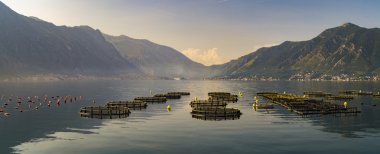 dağlar ve yaz gölde doğal görünümünü