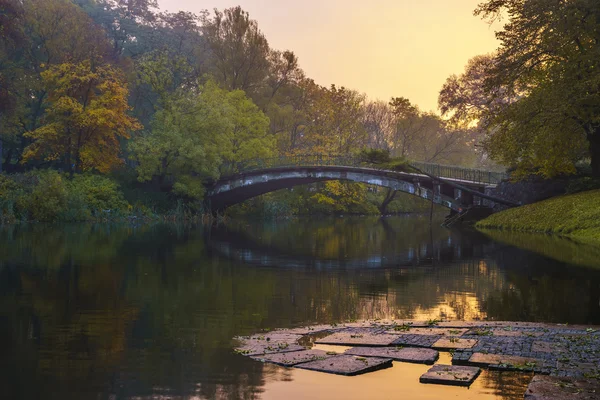 Wunderschöner, farbenfroher Sonnenaufgang im herbstlichen Park, kromlau — Stockfoto