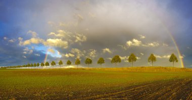 bir alanın üzerine geçen fırtına sonrası renkli gökkuşağı 