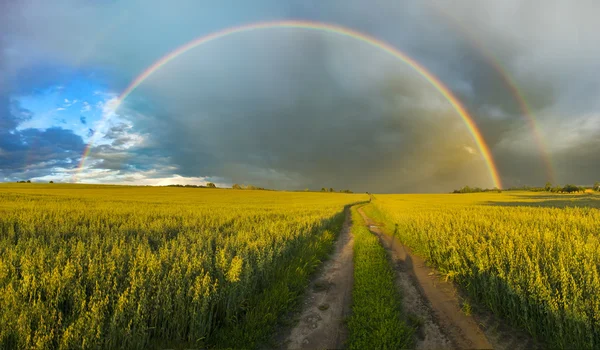 colorful rainbow after the storm passing over a field