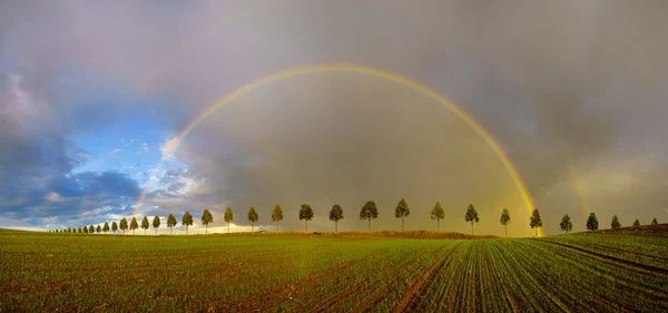 colorful rainbow after the storm passing over a field