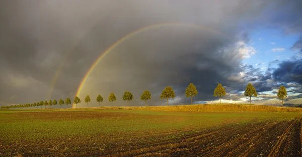 Arco-íris colorido após a tempestade que passa sobre um campo — Fotografia de Stock