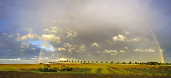 Arco-íris colorido após a tempestade que passa sobre um campo — Fotografia de Stock