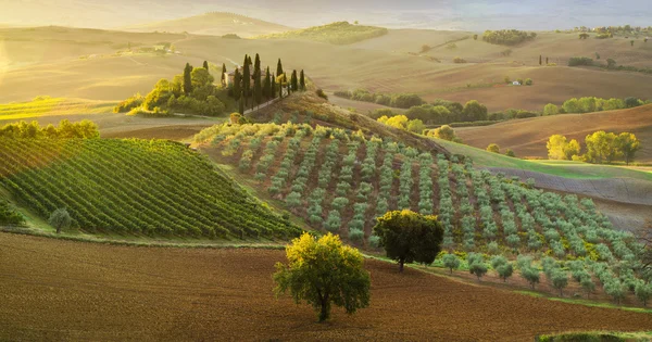 Toscana Paisaje, campo de otoño, casa solitaria en Toscana —  Fotos de Stock