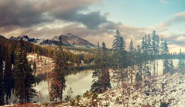 Vista Panorâmica Lago Alpino Floresta — Fotografia de Stock