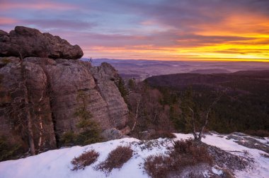 alanlar ve güneşli sabah deki meadows doğal görünümü