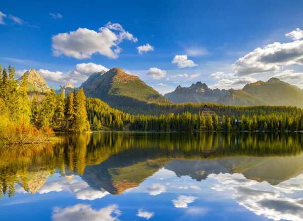 Vue Panoramique Sur Lac Montagne Été — Photo