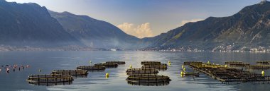 dağ Gölü yaz, doğal görünümünü