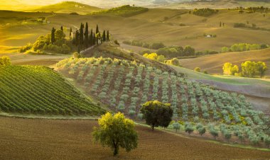 Pienza, İtalya-Eylül 2015: ünlü Tuscan manzara sunri