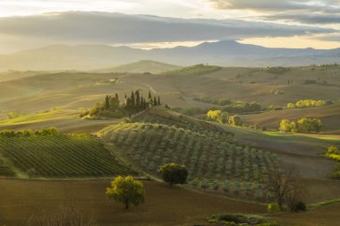 Pienza, İtalya-Eylül 2015: ünlü Tuscan manzara sunri