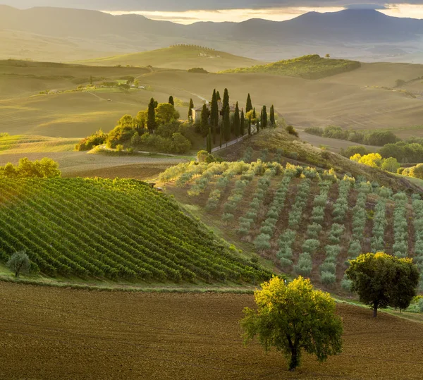 Pienza, Ιταλία-Σεπτέμβριος 2015: το περίφημο Tuscan τοπίο στην Ανατολή το — Φωτογραφία Αρχείου
