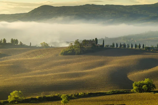 Pienza, Italië-September 2015: de beroemde Toscaanse landschap bij zonsopgang — Stockfoto