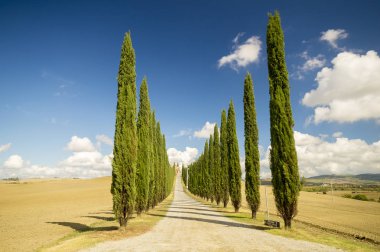 Pienza, İtalya-Eylül 2015: ünlü Tuscan manzara güneş doğarken