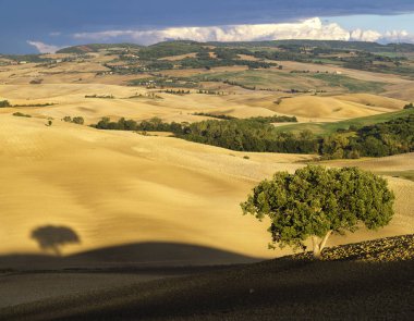 Pienza, İtalya-Eylül 2015: ünlü Tuscan manzara sunri
