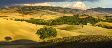 Pienza, İtalya-Eylül 2015: ünlü Tuscan manzara sunri