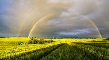 Szczecin, Polonya, Eylül 2016: futuristik ofis Szczecin Filarmoni Binası